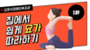 교육문화지원팀 요가교실 영상